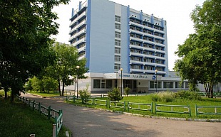 Чайка Чайка
